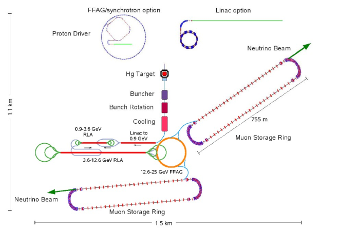 NF-Layout.png